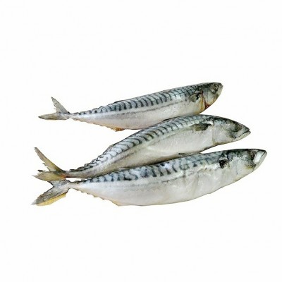 Скумбрія свіжоморожена 400-600 / Скумбрия свежемороженая 400-600