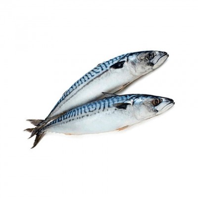 Скумбрія свіжоморожена 300-500 / Скумбрия свежемороженая 300-500