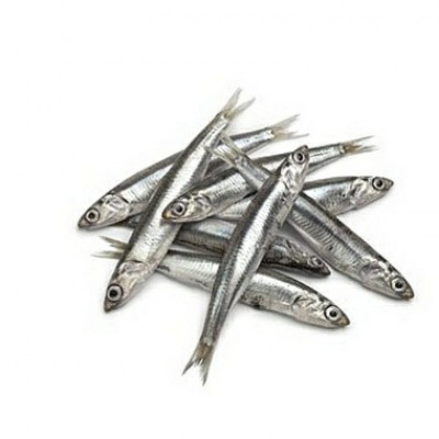 Мойва свіжоморожена / Мойва свежемороженая 