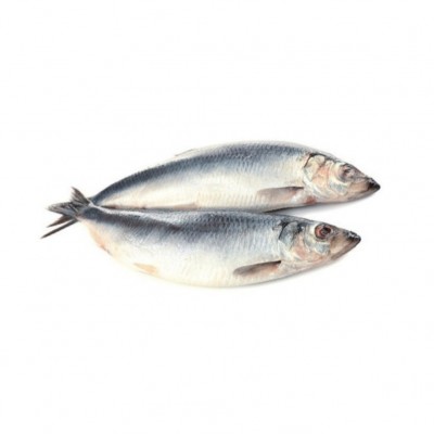 Оселедець свіжоморожений 350+ / Сельдь свежемороженая  350+